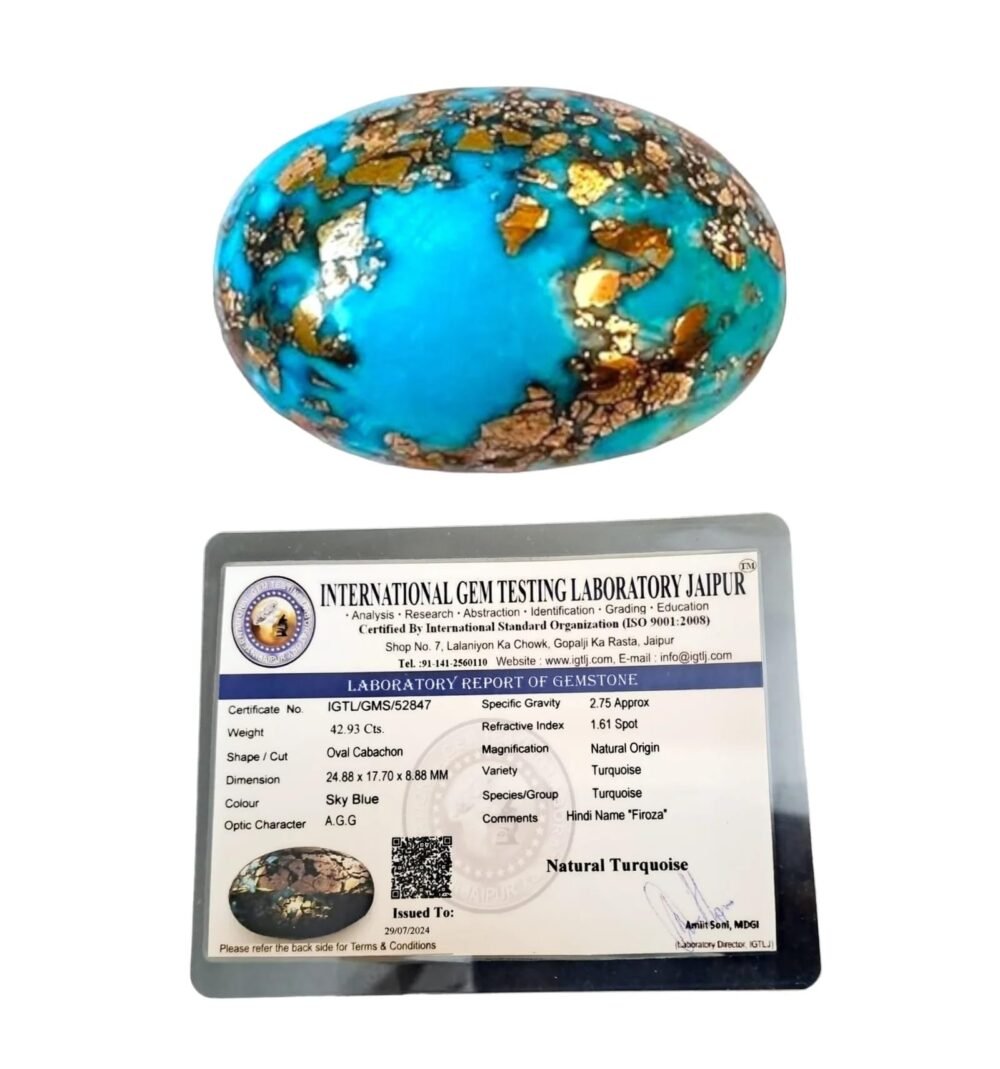 Shop Primary Image