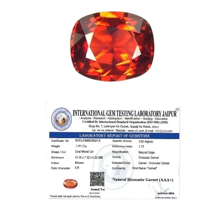 Shop Primary Image