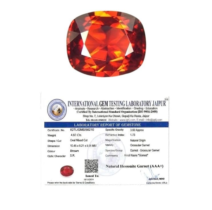 Shop Primary Image