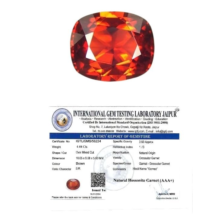Shop Primary Image