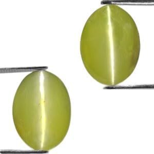 Shop Primary Image Shop Primary Image